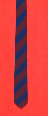 JTS mock tie with diagonal stripes