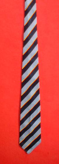SCTS/STHS mock Prefect tie